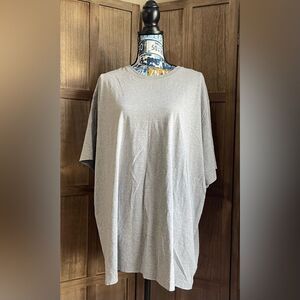 EUC Men’s Light Gray Tshirt.